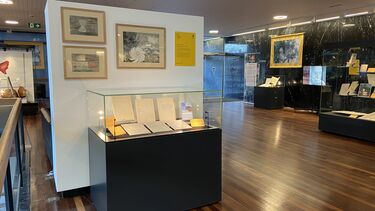 Irene Champernowne exhibition 