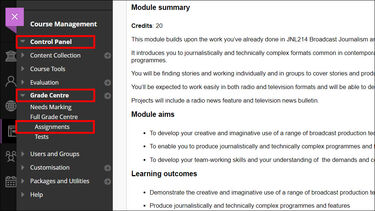 Blackboard left-hand course menu. Course Management section. Control Panel, Grade Centre and Assignments options highlighted.