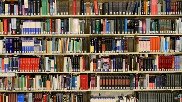 Shelves of books.