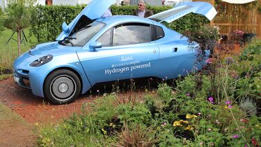 A 'climate change adapted' garden designed for a previous RHS Chatsworth.