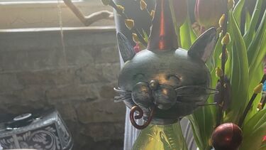 robot cat