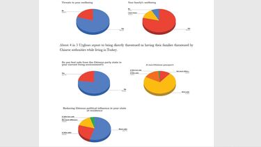XINJIANG PAPER 2023 part 2 chart