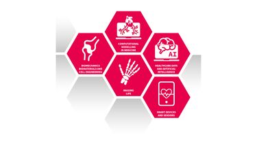Insigneo research theme structure hexagons