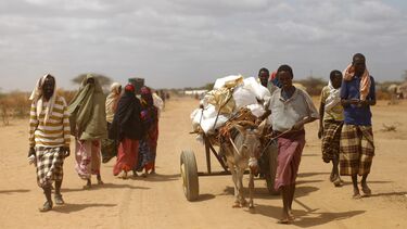 Forced migrants in Africa  