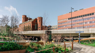 Green spaces in the heart of the University of Sheffield's campus