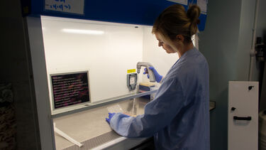 Amy Harding has blonde, tied up hair. She wears a lab coat and gloves and using scientific equipment behind a glass safety screen.