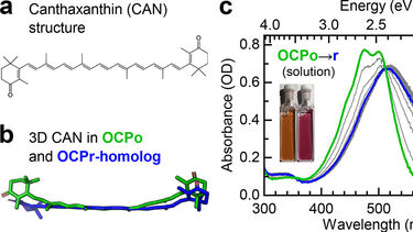 OCP no singlet fission