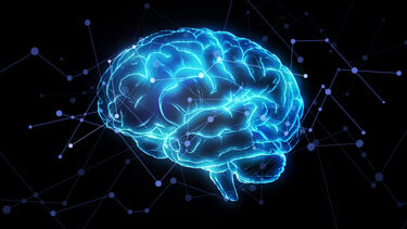 Graphic showing connections in a human brain
