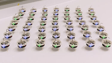 Rows of small robots connected together via elastic links