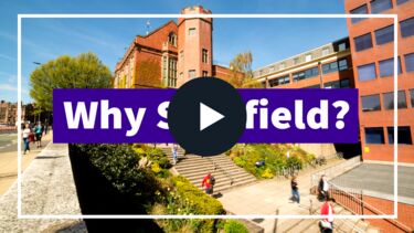 Why Sheffield