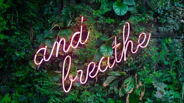 A background of leaves, with 'and breathe' in led lighting