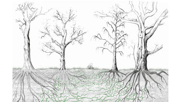 Urban Ecologies - student work
