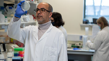 MSc Clinical Neurology