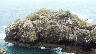 Skomer Island seen from above