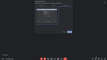 Sharing a screen on google meet screenshot