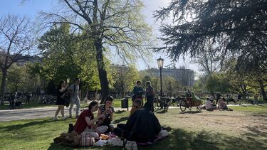 Image of Owen Havercroft at a park