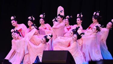 Wanlin Dance Academy performance