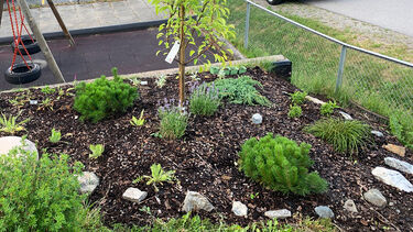 Neighbourhood Planting Project in Greater Oslo, Norway