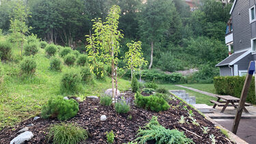 Neighbourhood Planting Project in Greater Oslo, Norway