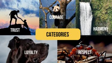 China - UK Perspectives: Friendship