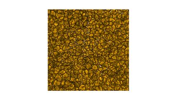 An image of the 'quiet' side of the sun.