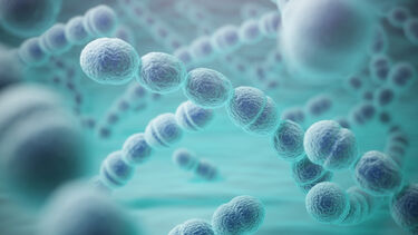 Artist impression of streptococcus pneumoniae
