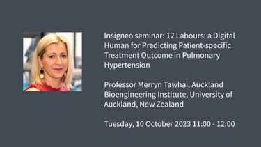 Image graphic: Insigneo seminar: Professor Merryn Tawhai, Director of the Auckland Bioengineering Institute, University of Auckland, New Zealand  Tuesday 10 October 2023