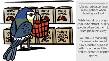 A graphic showing predator-prey interaction.