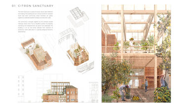 Part of Milena’s work ‘citron sanctuary’