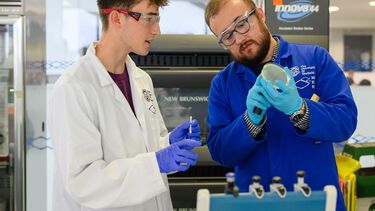 Bio Eng Experiement