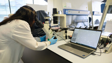 Bio Tissue Experiment