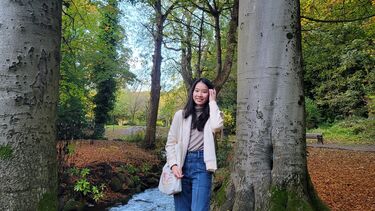 Laverita in a woodland area.