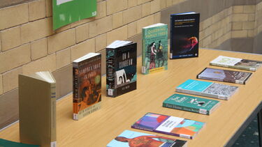 A range of 11 books on a table at the lectures on gender and sexuality session. Titles are unclear but they are based on reading relating to the seminar.