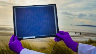 A person holding Perovskite solar cells.