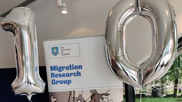 MRG 10 Anniversary Banner