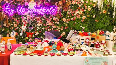 Erica Williams sells knitted goods to raise funds for MND