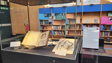 Herbarium display
