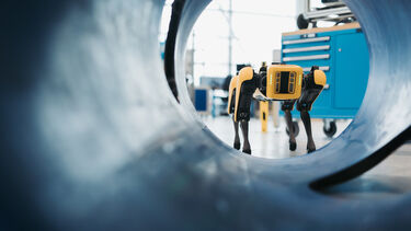 Small robot four legs