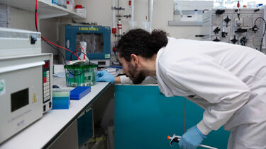 A student working in a laboratory