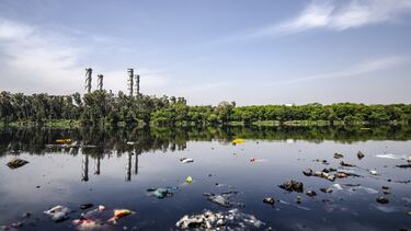 Contaminated Lake 