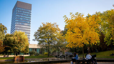 A view of the Arts Tower from Weston Park