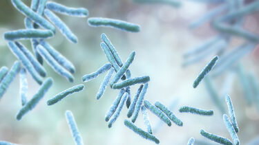 Computer illustration of tuberculosis bacteria