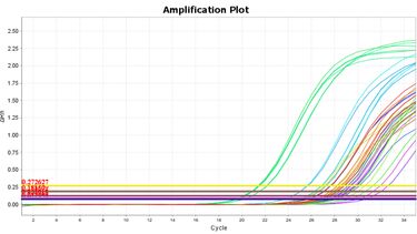 qPCR amplification plot