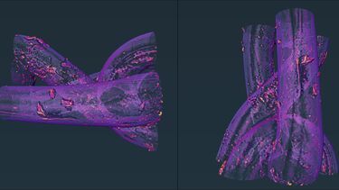 A 3D tomography image of PP mesh