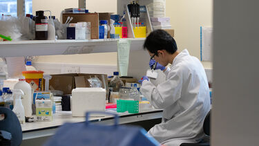 Researcher working in a lab