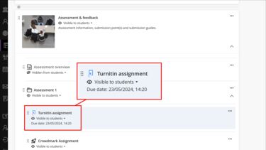 Assessment & Feedback learning module expanded displaying a Turnitin assignment