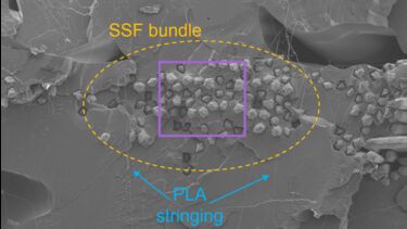 Alison Clarke case study fig 2