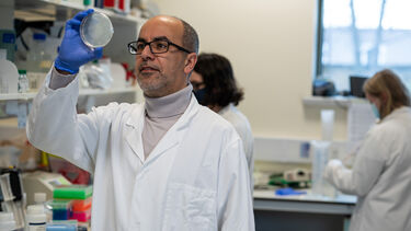 Professor Mimoun Azzouz holding a petri dish