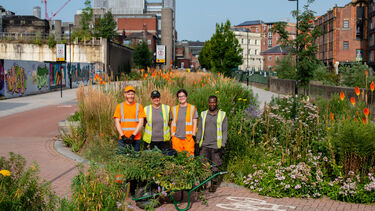 A team of people standing near an area of the Grey to Green Scheme.