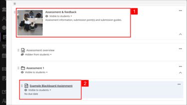 Blackboard Ultra course displaying the Assessment & Feedback learning module expanded and a Blackboard Assignment